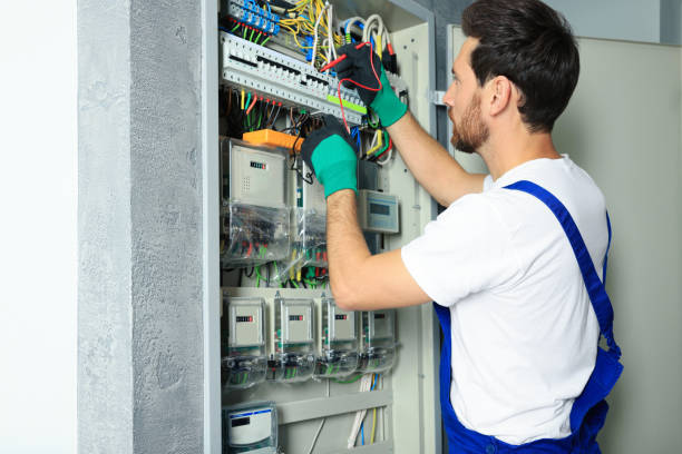 Best Ceiling Fan Installation Electrician  in Alamo, NV