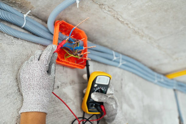 Best Electric Panel Repair  in Alamo, NV